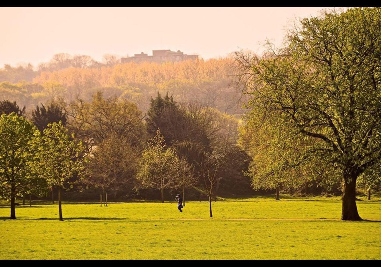 The Nest Of Forest Hill 런던 외부 사진